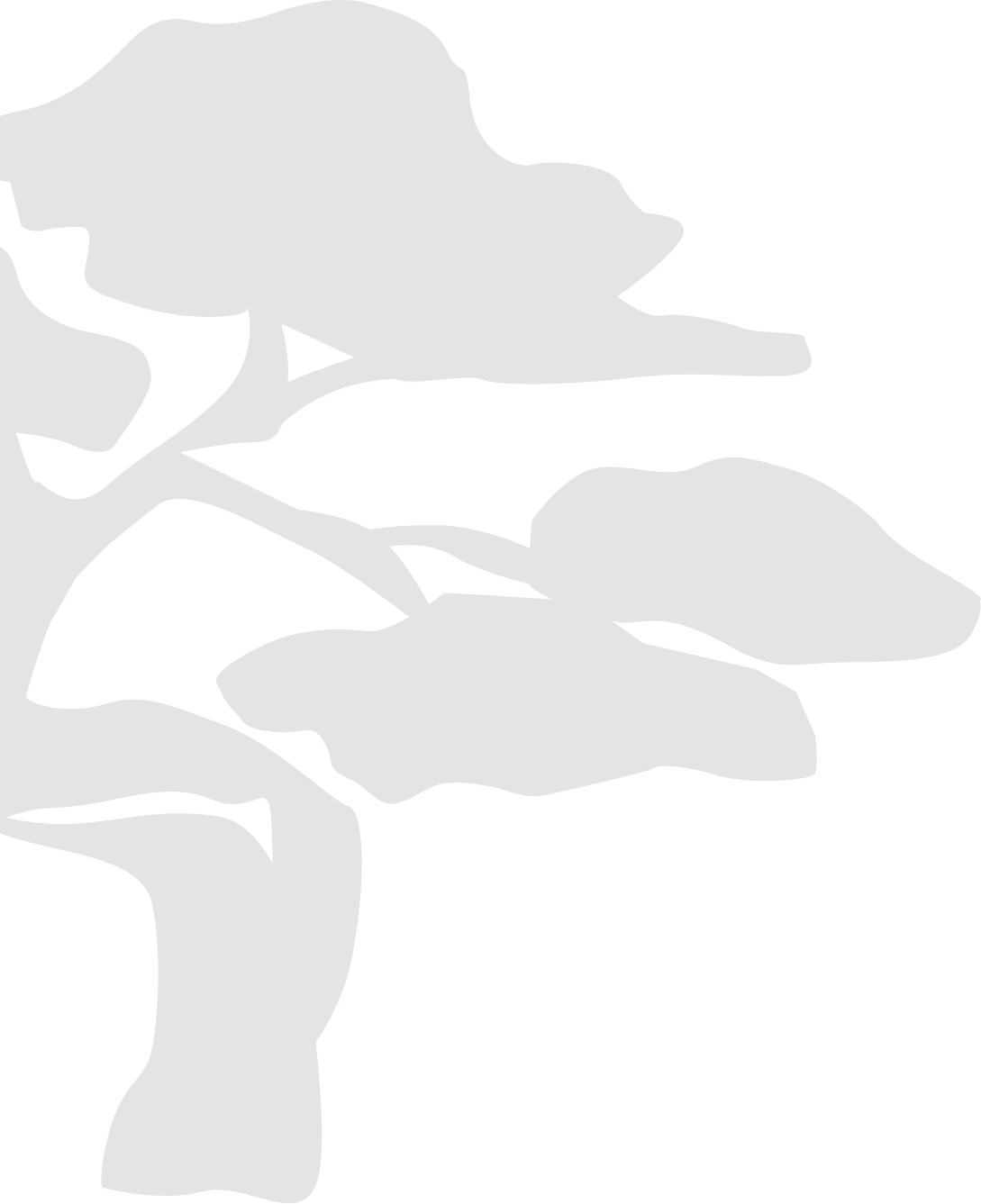 Tree Illustration