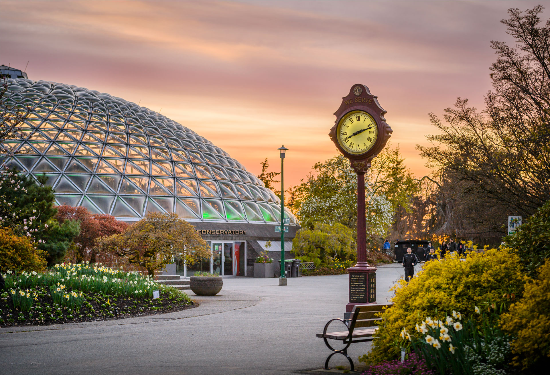 Bloedel Conservatory